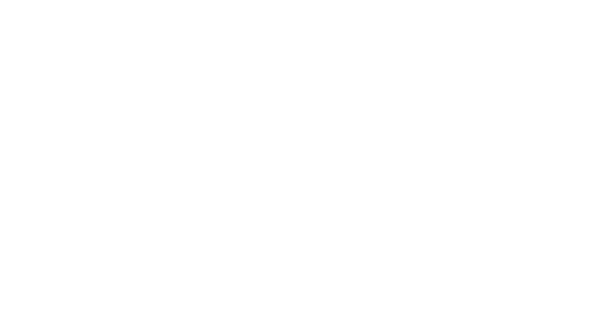 LNS Lee Ngiab Seng
